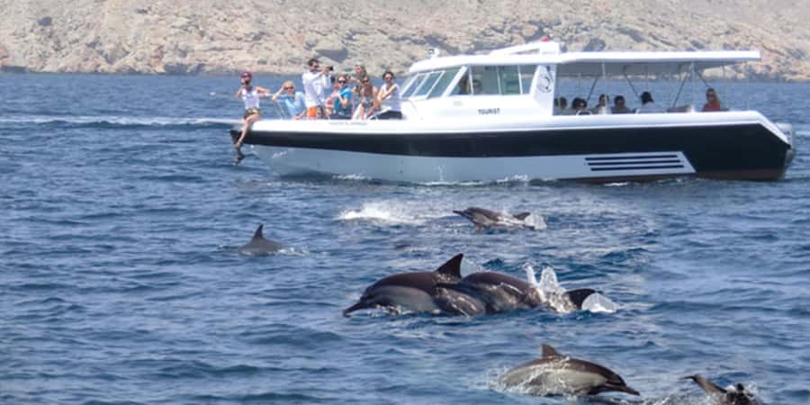 Muscat: Dolphin Watching Boat Tour - Key points at a glance