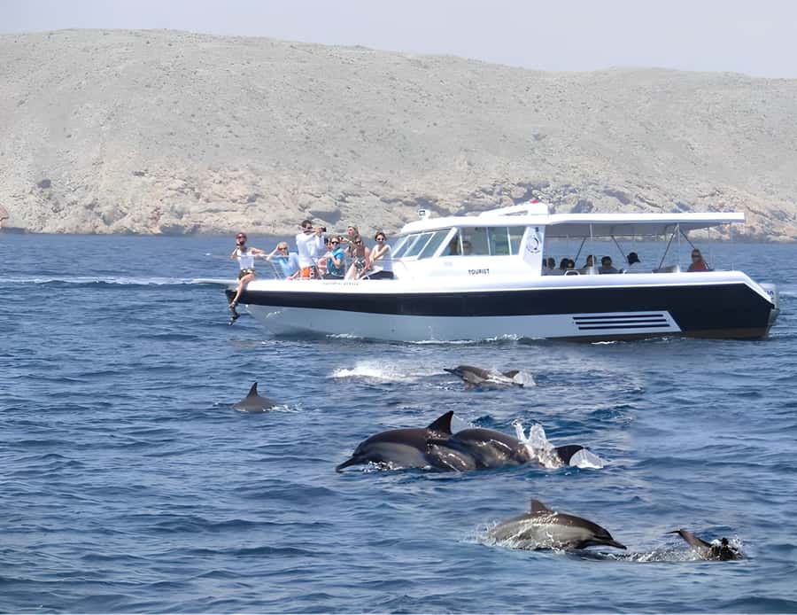 Muscat: Dolphin Watching Boat Trip with Snacks & Local Guide - What the dolphin encounter feels like
