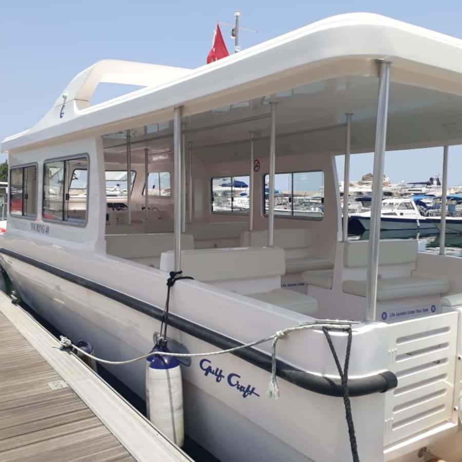 Muscat: Dolphin Watching Boat Trip with Snacks & Local Guide - Is $60 a fair price?