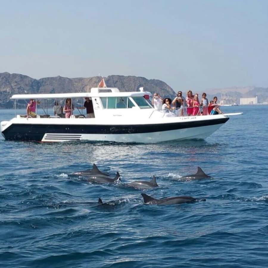 Muscat Dolphin Watching & Coastal Sightseeing Tour - The speedboat ride and the dolphin search