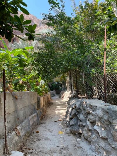 Full-Day Wadi Shab & Bimmah Sinkhole Private Tour