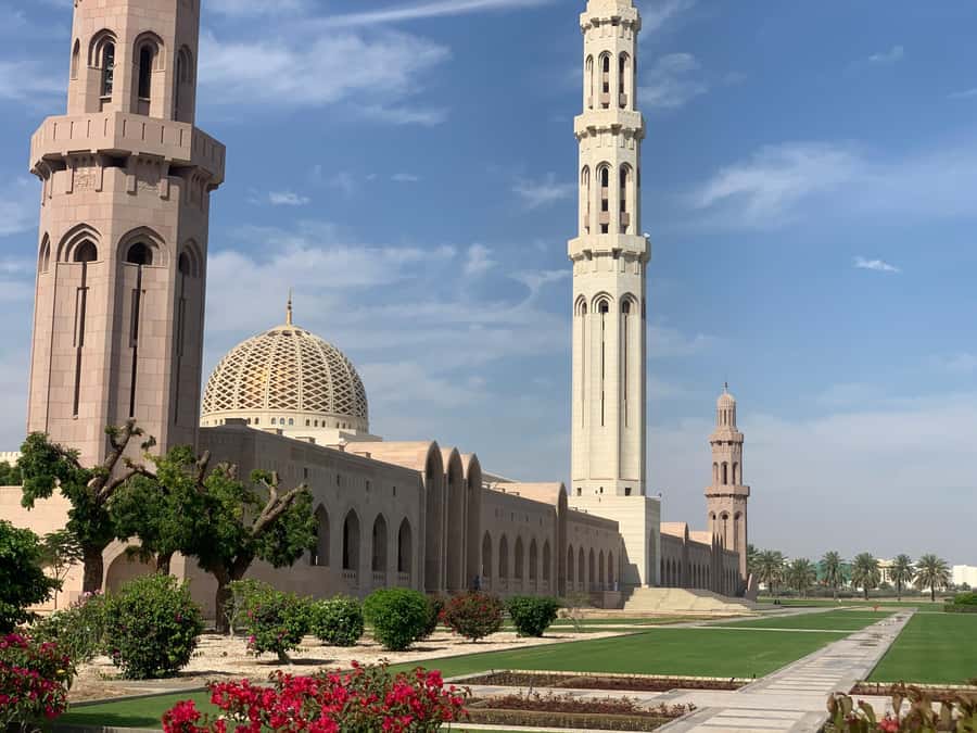 Muscat: Group City Tour with Pickup and Lunch or Dinner - A strong first look at Muscat in one outing