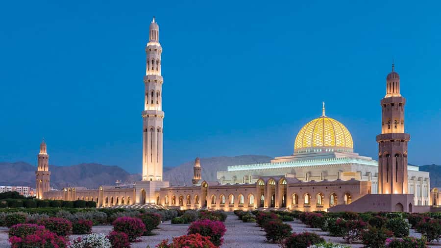 Muscat: Group City Tour with Pickup and Lunch or Dinner - The Royal Opera House and Muscat’s modern face