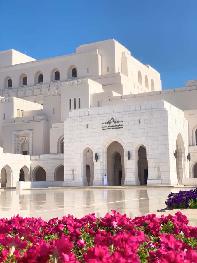 Muscat: Group City Tour with Pickup and Lunch or Dinner - What the guides add to the day