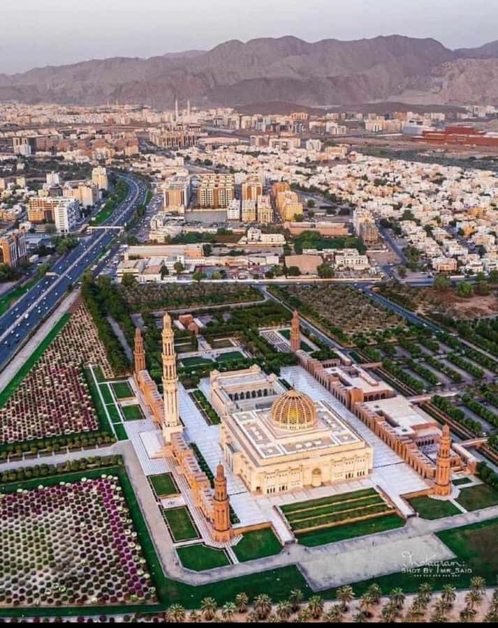 Muscat: Guided Landmarks Tour - Mutrah Fish Market and the Corniche