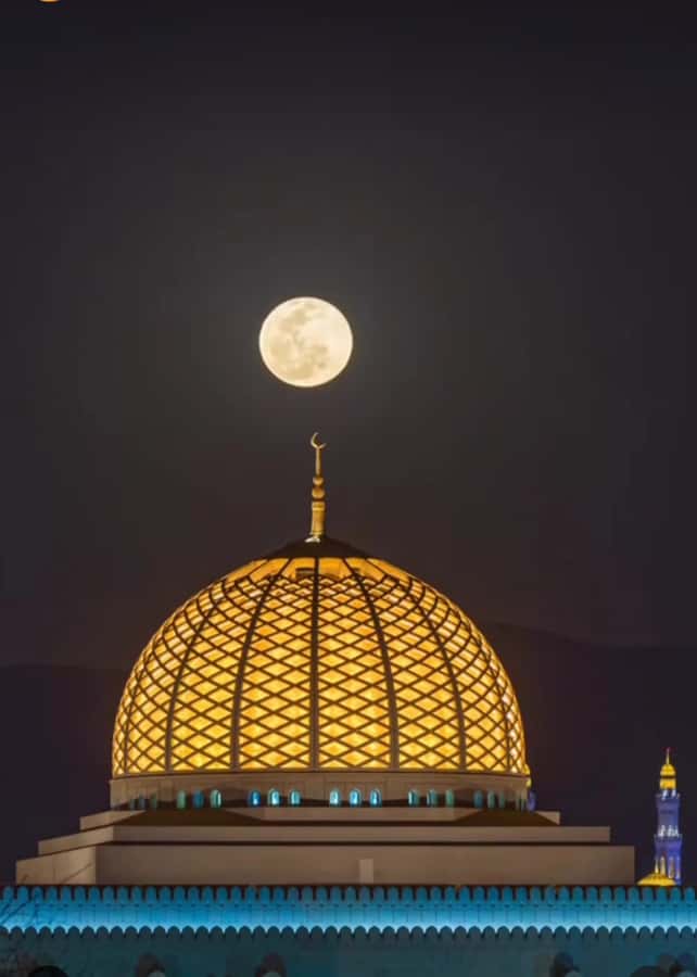 Muscat: Guided Landmarks Tour - Guides who shape the day