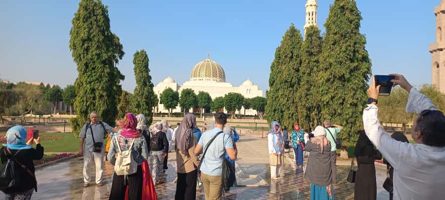 Muscat: Half-Day City Tour - Al Alam Palace and the royal quarter