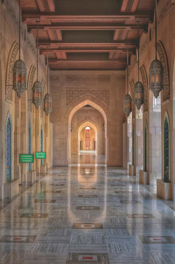Muscat: Half Day-City Tour - Timing, comfort, and practical limits