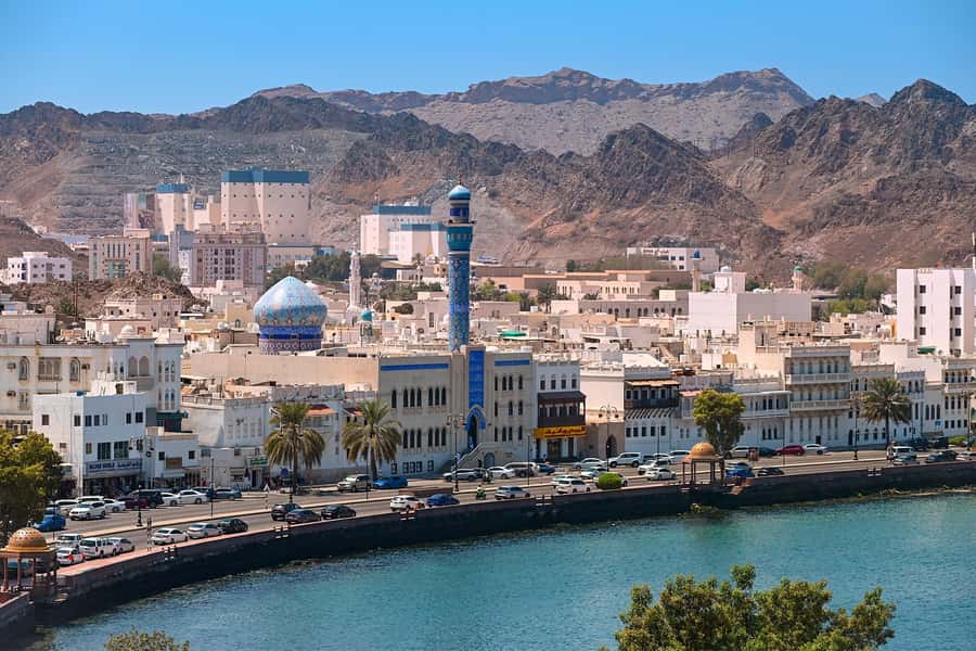 Muscat: Half-Day Sightseeing Essentials Tour and Audio Guide - The fish market: brief and local