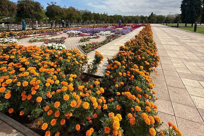 Muscat Hidden Gems Private City Tour with Different Languages - Why this private Muscat tour works