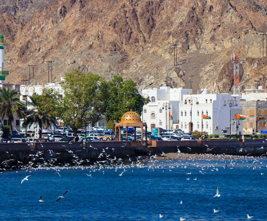 Muscat highlights : Private Muscat City Tour.. - The schedule is short, so pace matters