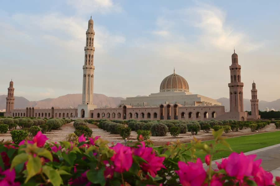 Muscat: Night Tour [ Sightseeing ] - What this Muscat evening tour is really like