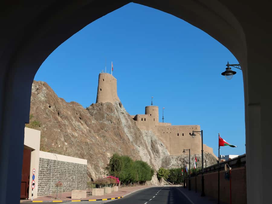Muscat: Night Tour [ Sightseeing ] - Price, group size, and practical value