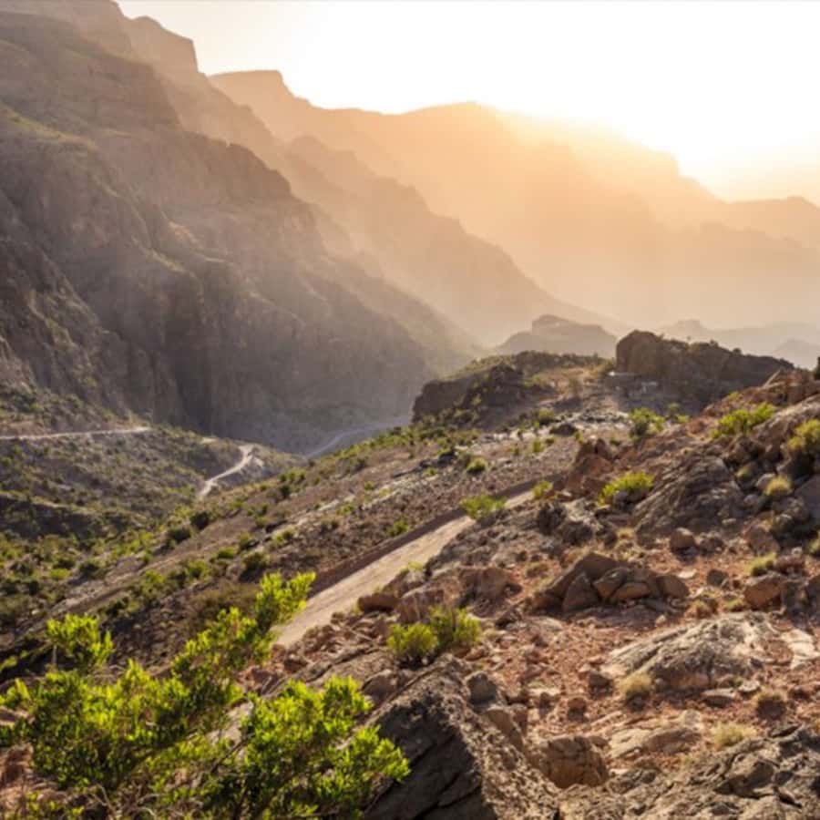 Muscat: Nizwa and Jabal Shams- Full Day Tour - Nizwa Fort and its huge round tower