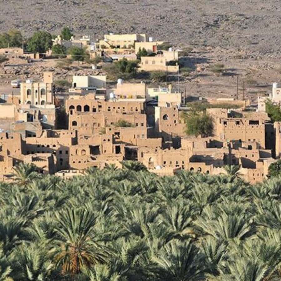 Muscat: Nizwa and Jabal Shams- Full Day Tour - Guides make the difference