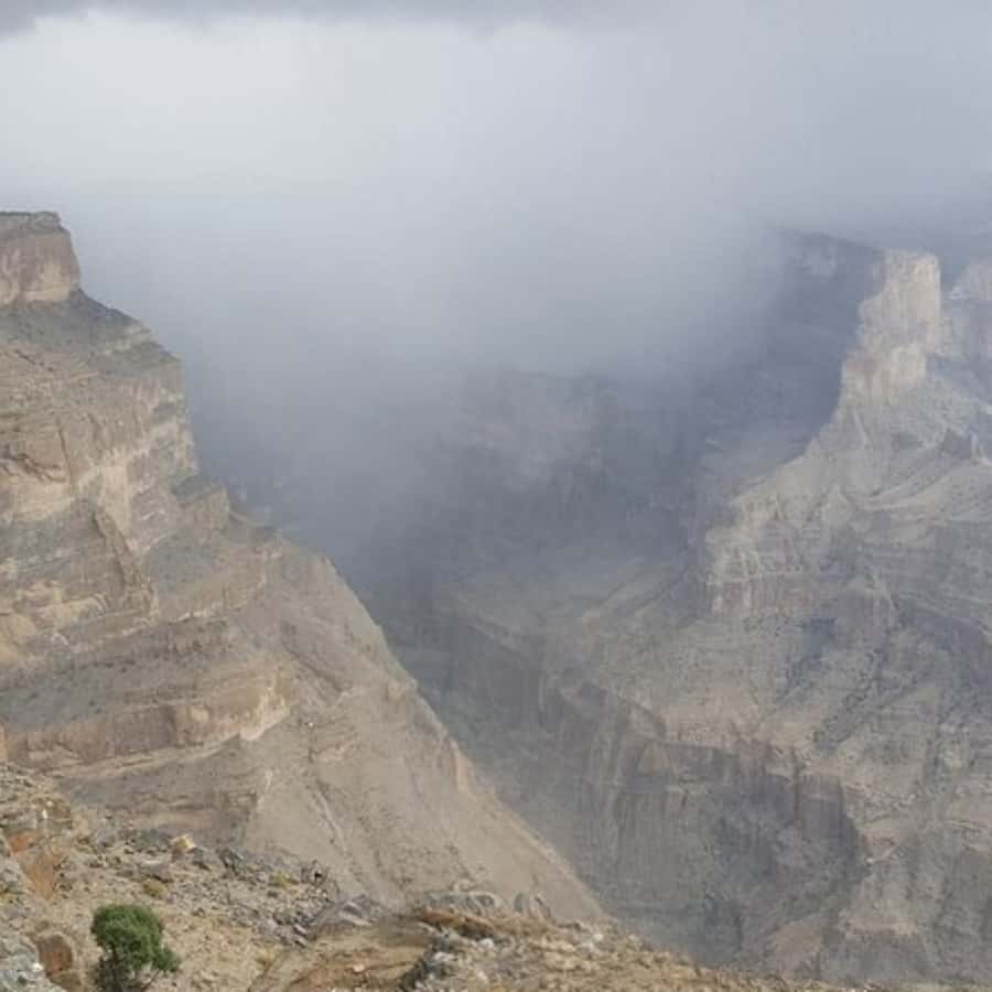 Muscat: Nizwa and Jabal Shams- Full Day Tour - Nizwa Souq, a calmer market stop