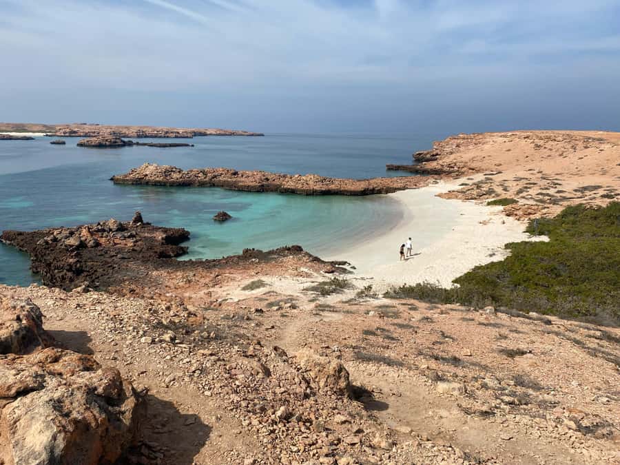 Muscat Oman: Snorkeling adventure to Daymaniyat Island - Key points before you book