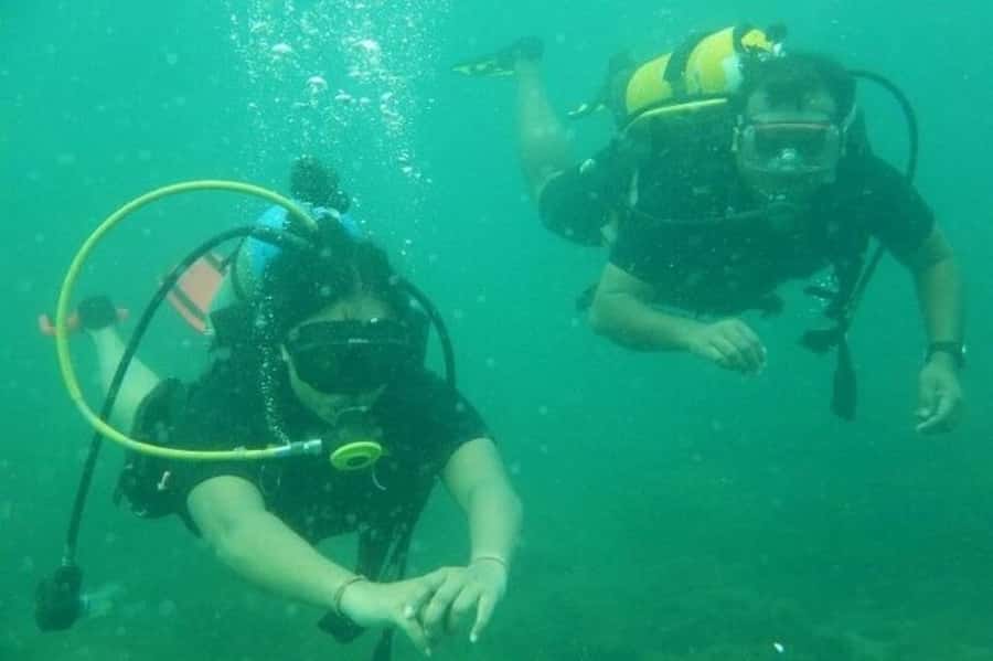 Muscat: Snorkeling and Dolphin Watching Tour - Who will enjoy this Muscat boat trip