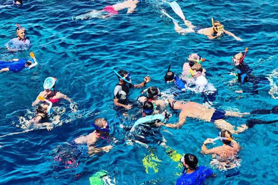 Muscat: Snorkeling and Dolphin Watching Tour - FAQ