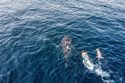 Muscat Snorkeling Trip to Daymaniyat Islands with BBQ lunch