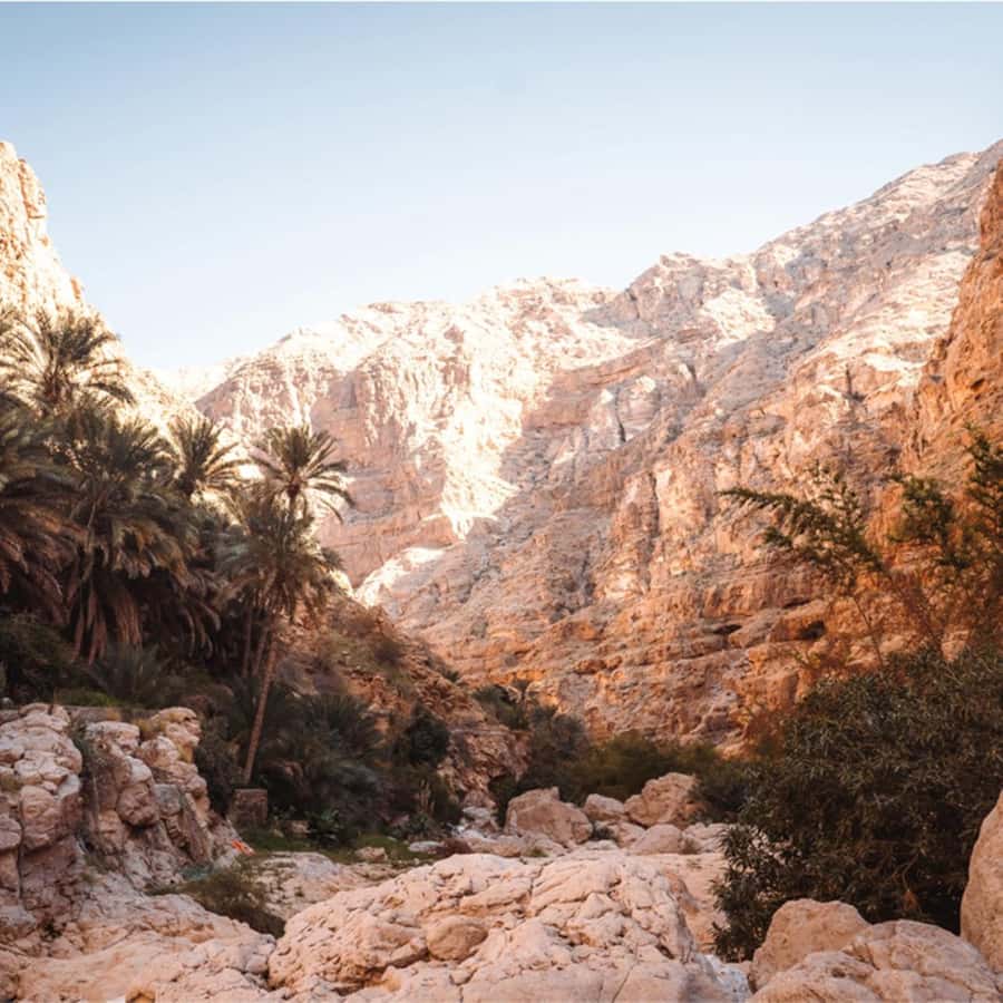 Muscat: Southern Treasures & Wadi Shab Tour with Audio Guide - Who should book this Wadi Shab tour?