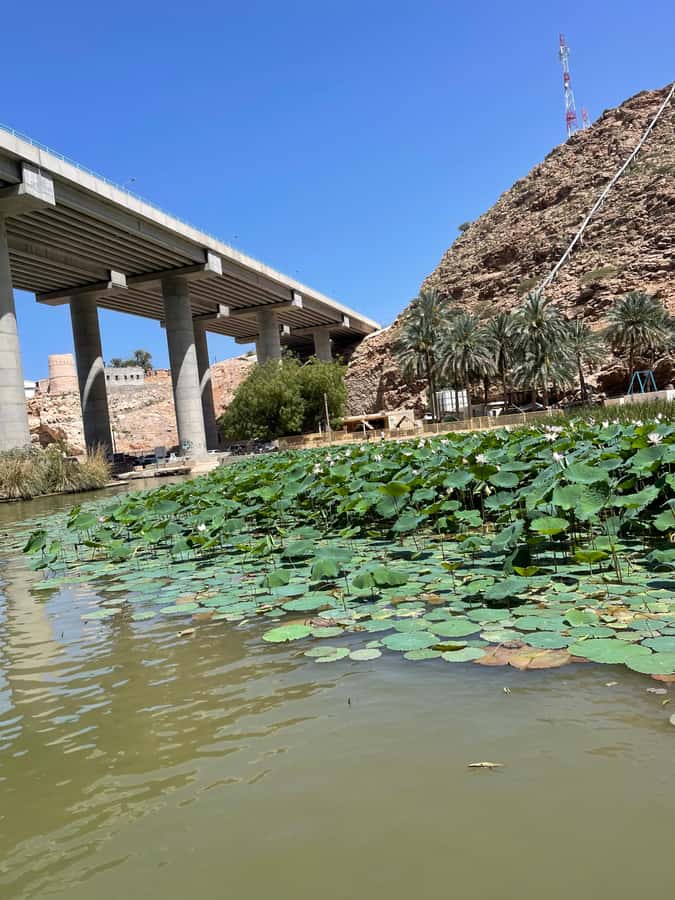 Muscat: Wadi Shab, Romantic Cave and Sinkhole Full-day Trip - The Wadi Shab hike and swimming route