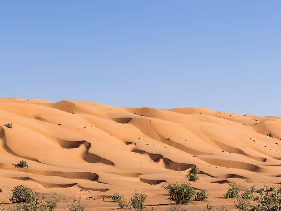 Muscat: Wahiba Sands Desert Sunset Tour with Dinner - Dinner at a desert camp