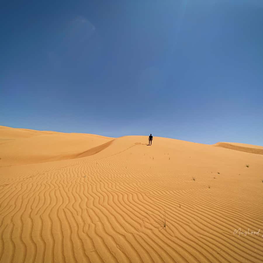 Muscat: Wahiba Sands Desert & Wadi Bani Khalid Full Day Tour - A Bidiyah lunch break