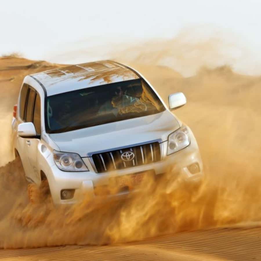 Muscat: Wahiba Sands Desert & Wadi Bani Khalid Full Day Tour - What the $180 price really covers