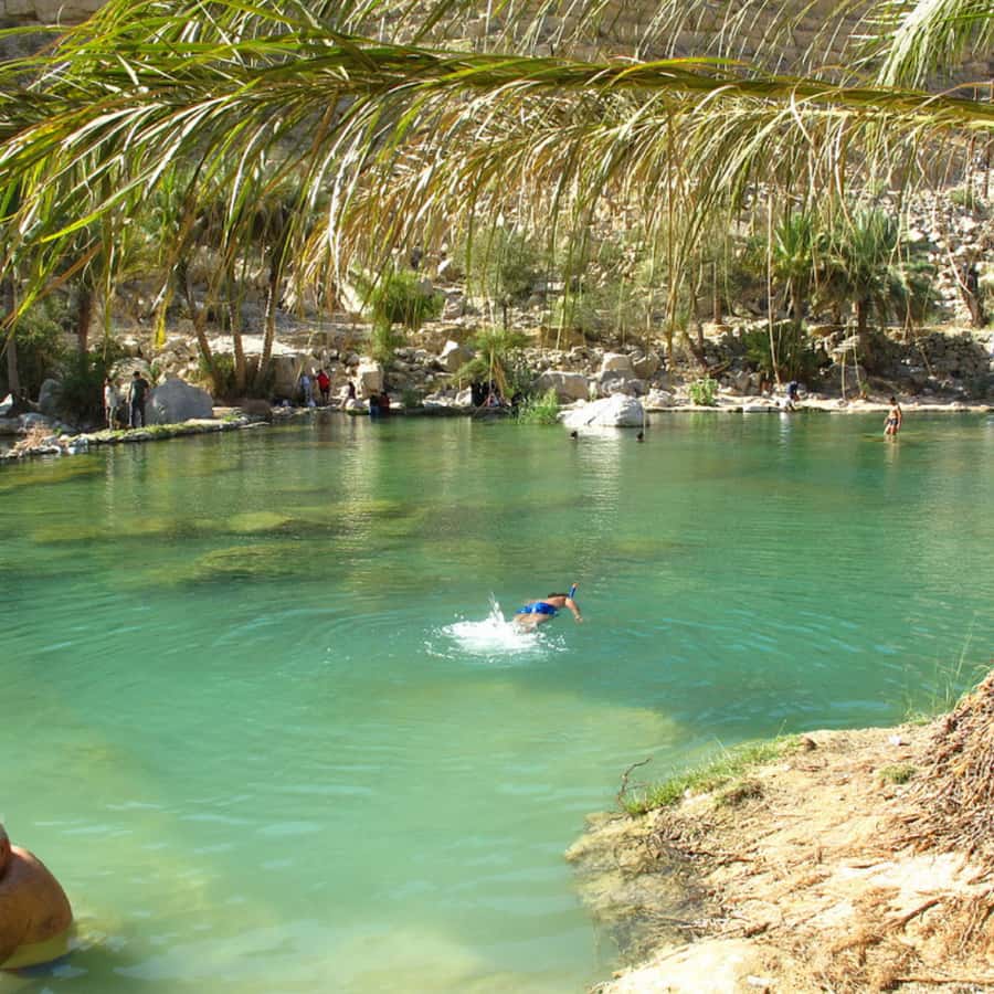 Muscat: Wahiba Sands Desert & Wadi Bani Khalid Full Day Tour - Guides who shape the day