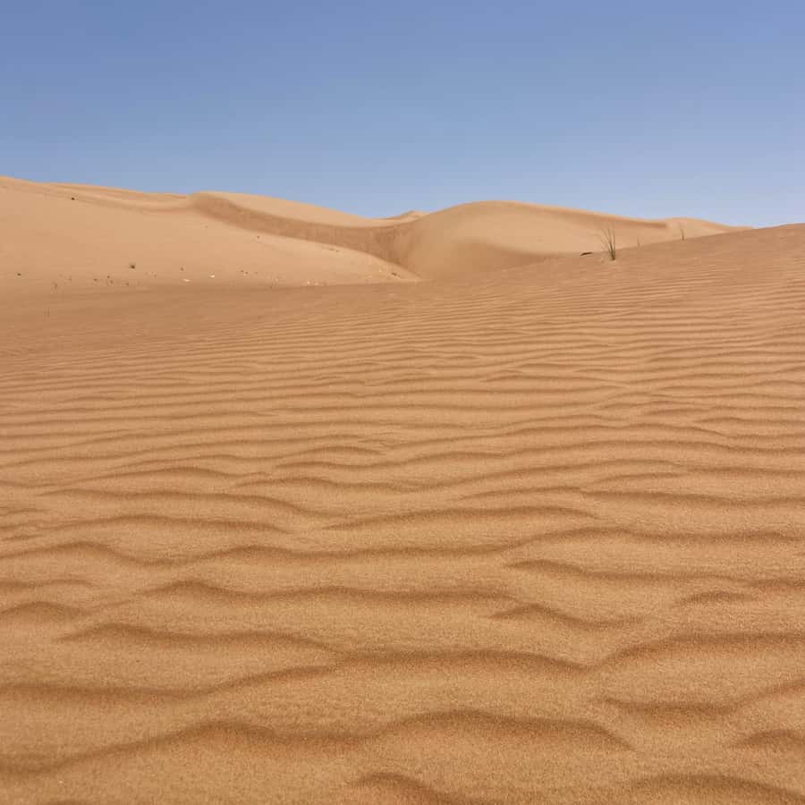 Muscat: Wahiba Sands Desert & Wadi Bani Khalid Full Day Tour - Two hours among the Wahiba Sands