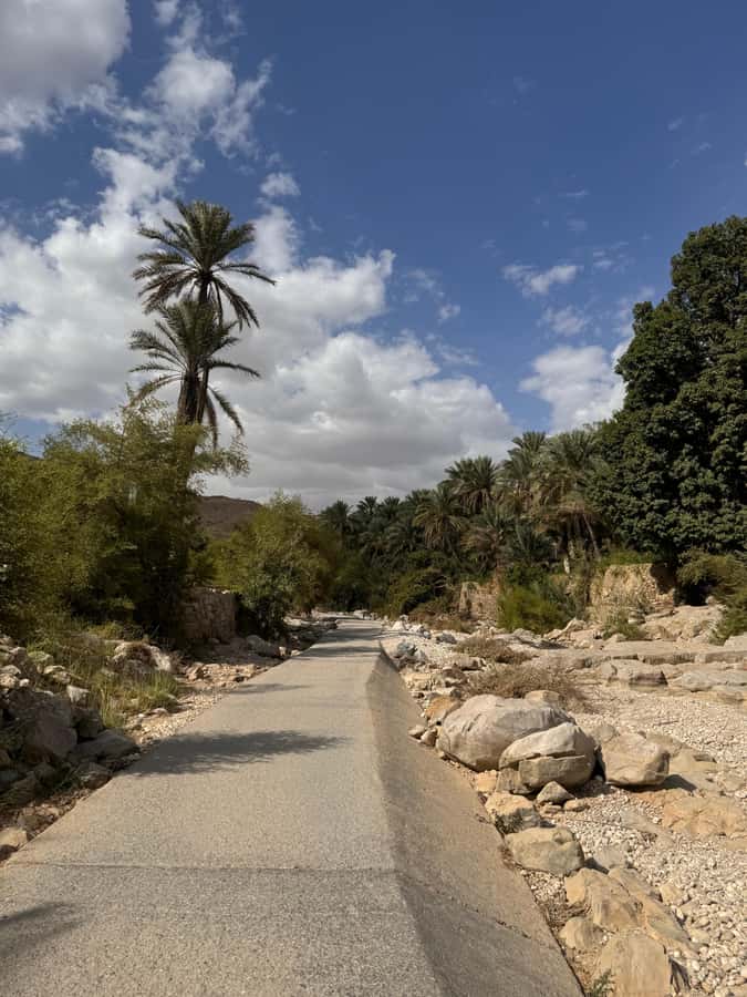 Muscat: Wahiba Sands & Wadi Bani Khalid Full-Day Tour+Lunch - Dune bashing, camels, and desert light