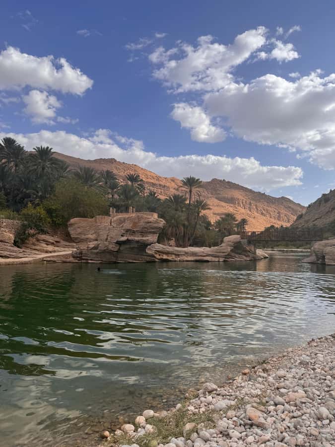 Muscat: Wahiba Sands & Wadi Bani Khalid Full-Day Tour+Lunch - Who will get the most from this tour
