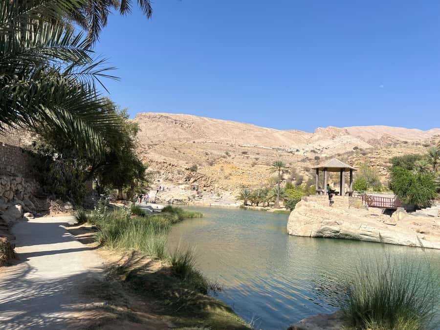 Muscat: Wahiba Sands, Wadi Bani Khalid & Mudayrib Tour - Who should book this experience?