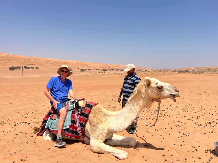 Muscat: Wahiba Sands, Wadi Bani Khalid & Mudayrib Tour - Wahiba Sands: the day’s biggest thrill
