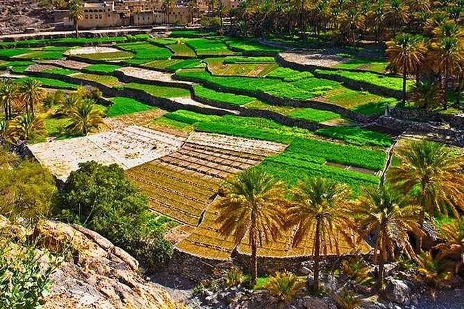 Nakhal Fort-Nakhal Hotspring-Wadi Bani Awf-Bilad Sayt - Private Full Day Tour - Bilad Sayt, a mountain village worth the route