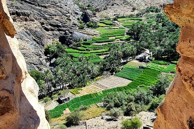 Nakhal Fort-Nakhal Hotspring-Wadi Bani Awf-Bilad Sayt - Private Full Day Tour - Who will get the most from this tour