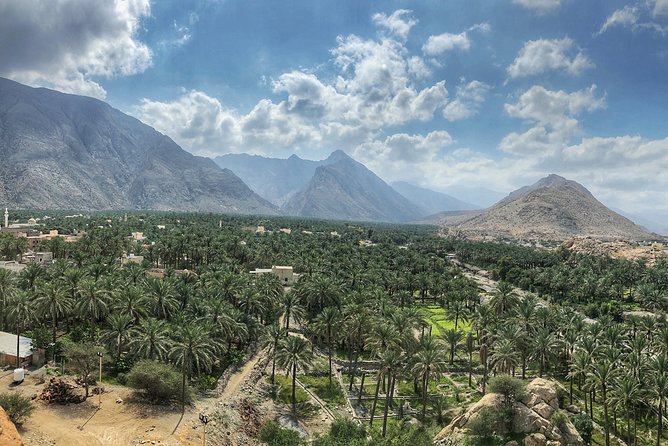 Nizwa and Green Mountain Group Full day tour - Nizwa Fort and its tall defensive tower