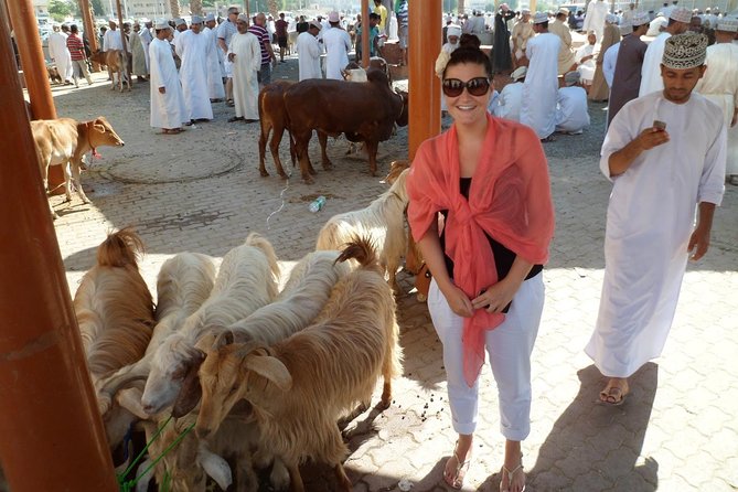 Nizwa Bahla & Jabrin Fort(Muscat tours) as private and custom trip - Price, inclusions, and extra costs
