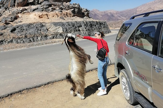 Nizwa. Hambra. Grand Canyon Oman - From Muscat to Oman’s old market town