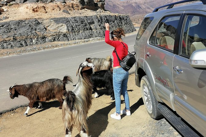Nizwa. Hambra. Grand Canyon Oman - Who will get the most from this tour