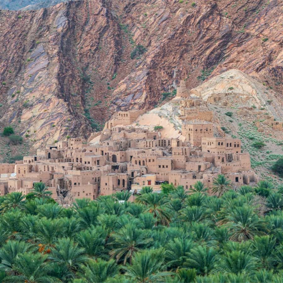 Nizwa Heritage & Culture Full Day Tour with Audio Guiding - Lunch with water, tea, and coffee