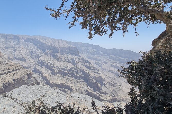Nizwa Heritage & Jebel Shams Canyon – Private Tour from Muscat - What the $194 price includes