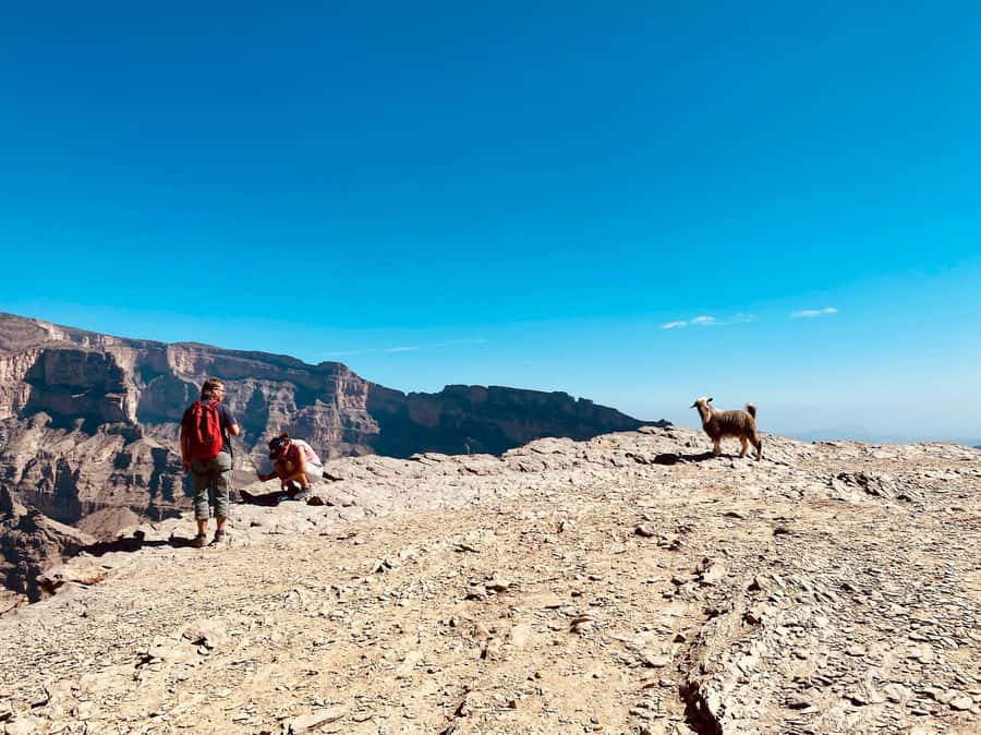 Nizwa: Jebel Shams Balcony Walk and Via Ferrata Adventure - The final rocky scramble and lunch