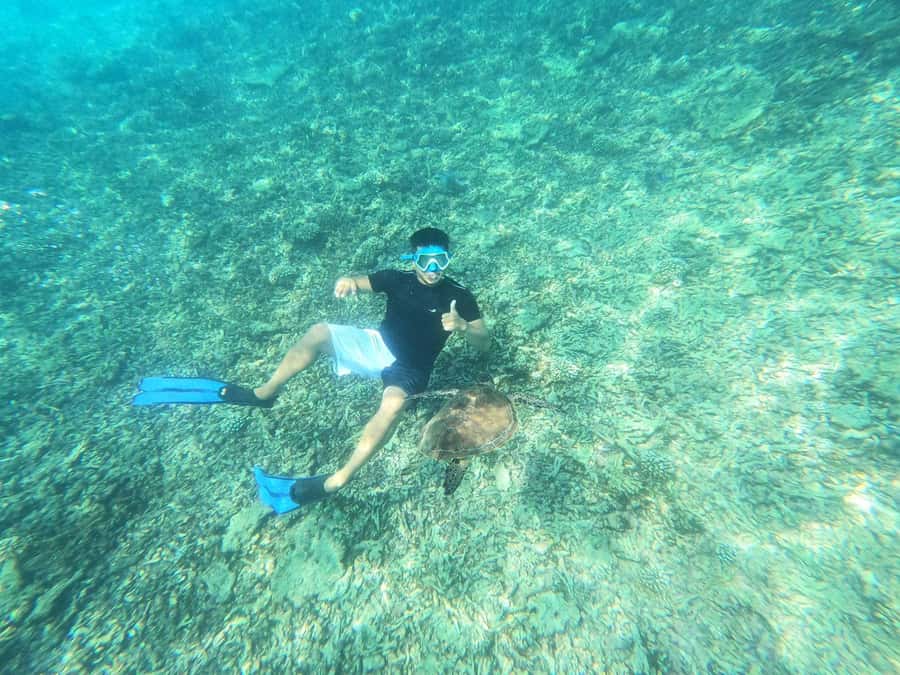 Oman: Daymaniyat Island Snorkeling Trip with Equipment - Who will enjoy this Daymaniyat trip?