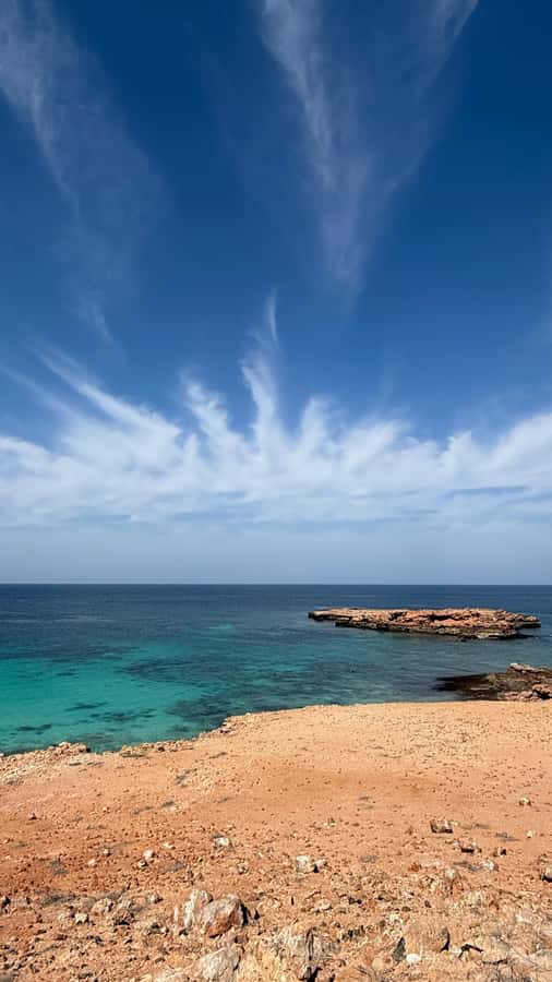 Oman: Daymaniyat Islands Visit and Snorkeling - Is the $85 price good value?