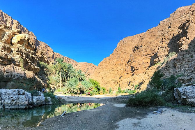 Oman Explorer: City, Wadis, and Desert 5-Day Adventure - What This Oman Tour Does Well