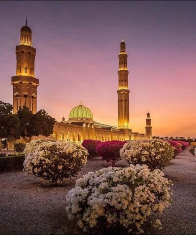 Group Muscat City Tour With Pick Up & Free Lunch/Dinner