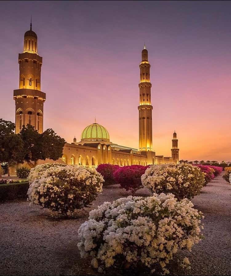 Oman:Group Muscat City Tour With Pick Up & Free Lunch/Dinner - Sultan Qaboos Grand Mosque: begin with Oman’s grandest interior