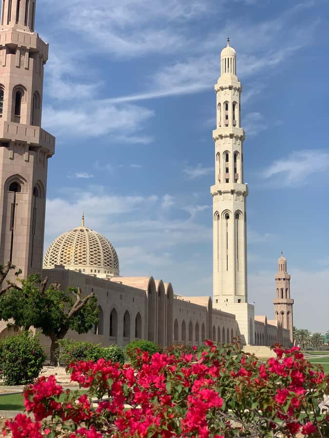 Oman: Private City Tour of Muscat with pick up/drop off - Lunch, tea, and the Omani welcome